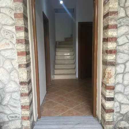 Apartment Zoto
